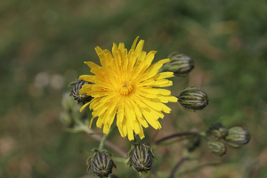 Déménageur Allauch